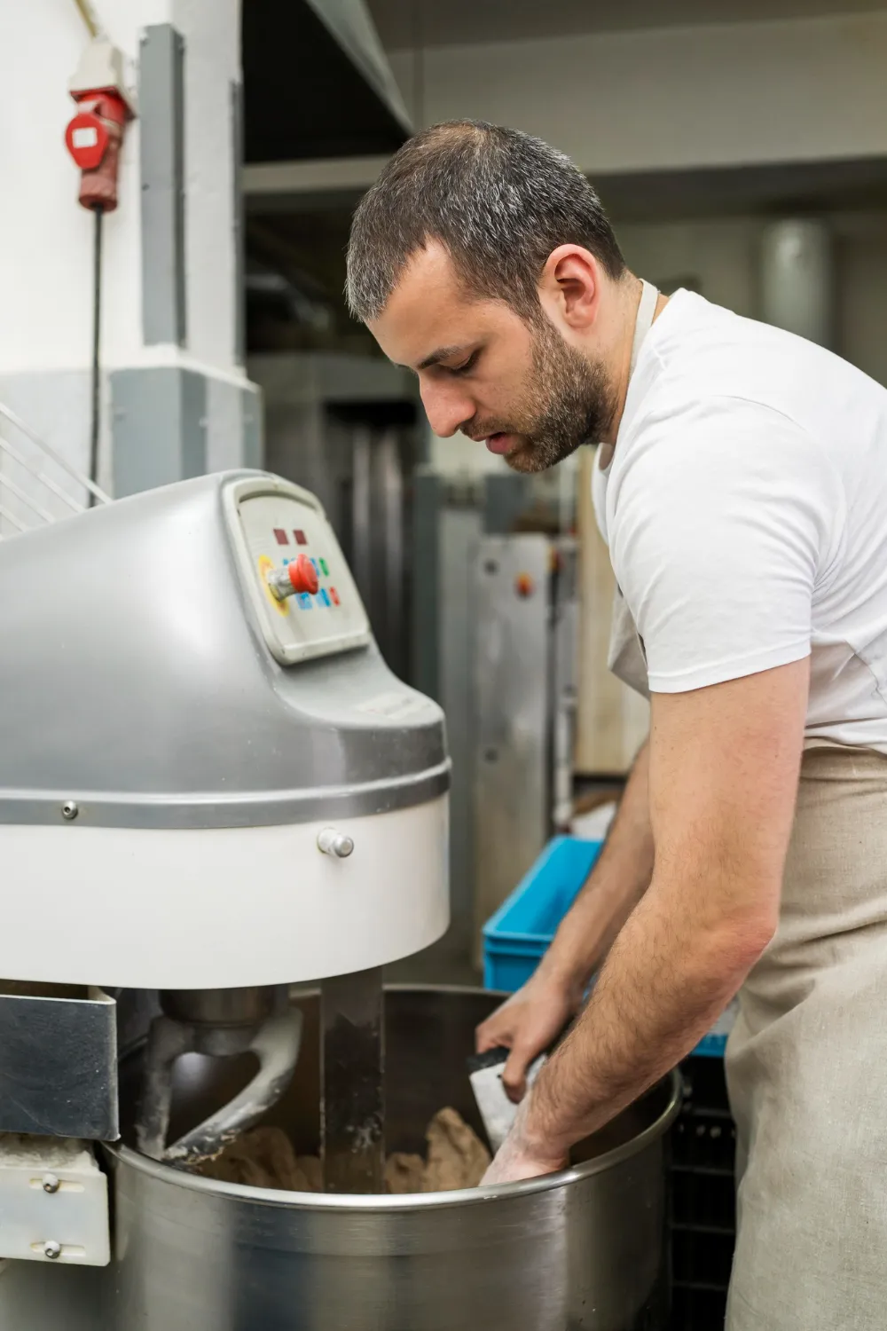 Food Processing & Manufacturing